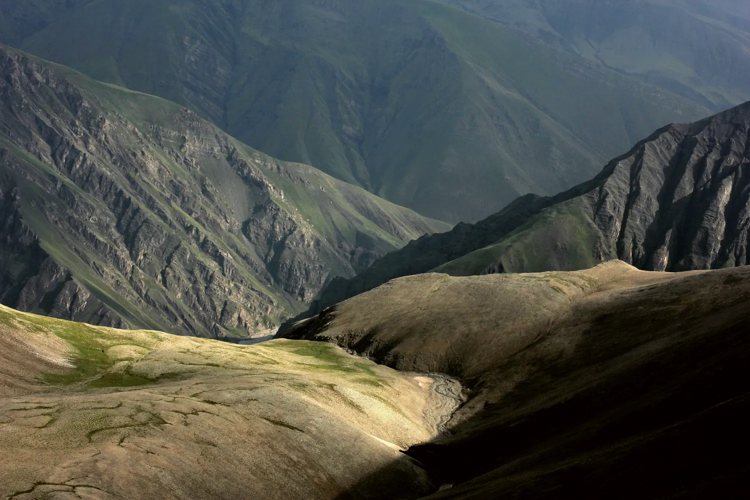 Late light on the ridge